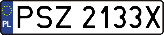 PSZ2133X