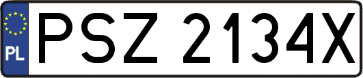 PSZ2134X