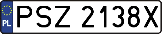 PSZ2138X