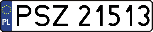 PSZ21513