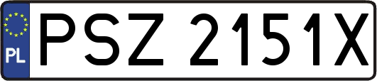 PSZ2151X