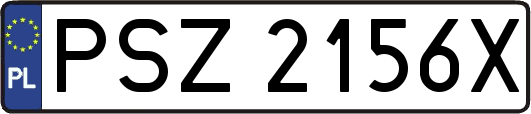 PSZ2156X