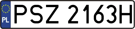 PSZ2163H