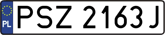PSZ2163J