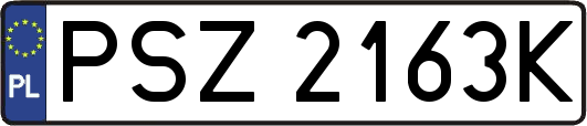 PSZ2163K