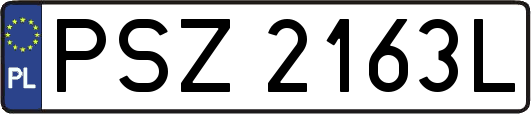 PSZ2163L