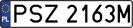 PSZ2163M