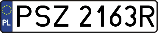 PSZ2163R