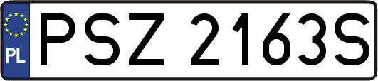 PSZ2163S