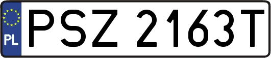 PSZ2163T
