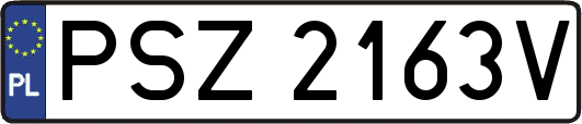 PSZ2163V