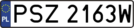 PSZ2163W