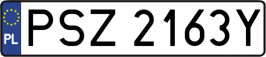 PSZ2163Y
