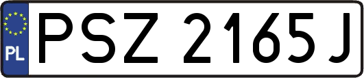 PSZ2165J