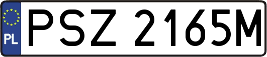 PSZ2165M
