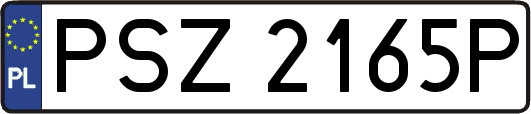 PSZ2165P
