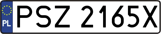 PSZ2165X
