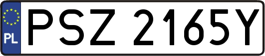 PSZ2165Y
