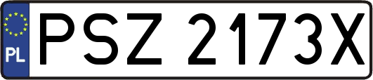 PSZ2173X