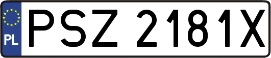PSZ2181X