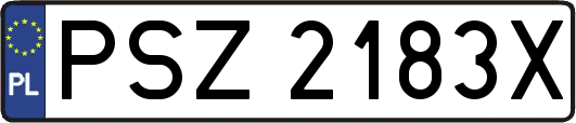 PSZ2183X