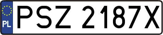 PSZ2187X