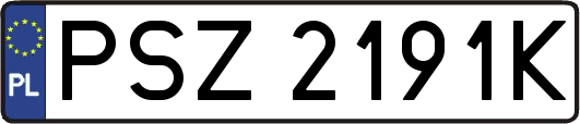 PSZ2191K