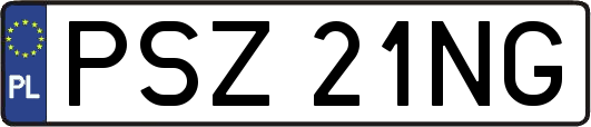 PSZ21NG