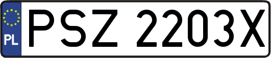 PSZ2203X