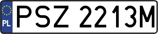 PSZ2213M