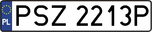 PSZ2213P