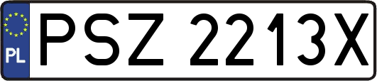 PSZ2213X