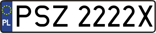 PSZ2222X
