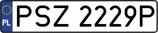 PSZ2229P