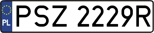 PSZ2229R