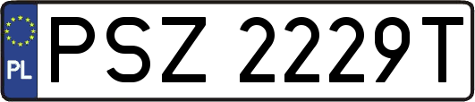 PSZ2229T