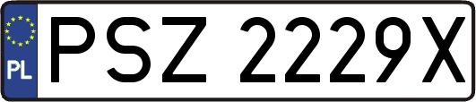 PSZ2229X