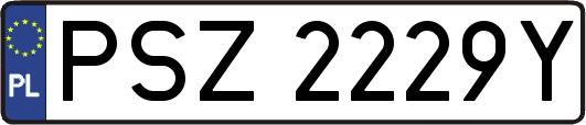 PSZ2229Y