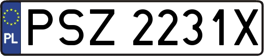 PSZ2231X