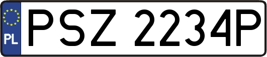 PSZ2234P