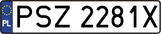 PSZ2281X