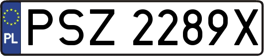 PSZ2289X