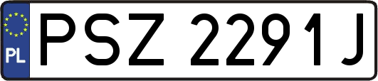 PSZ2291J