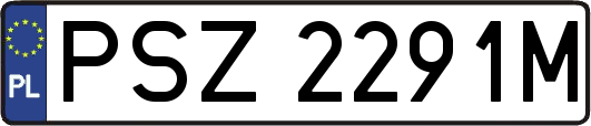 PSZ2291M
