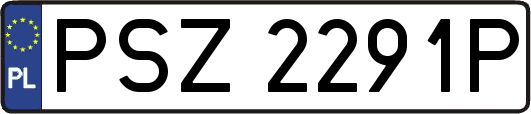 PSZ2291P