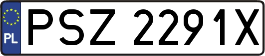 PSZ2291X