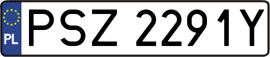 PSZ2291Y