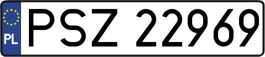 PSZ22969