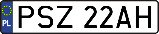 PSZ22AH