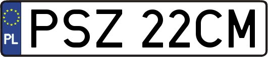 PSZ22CM
